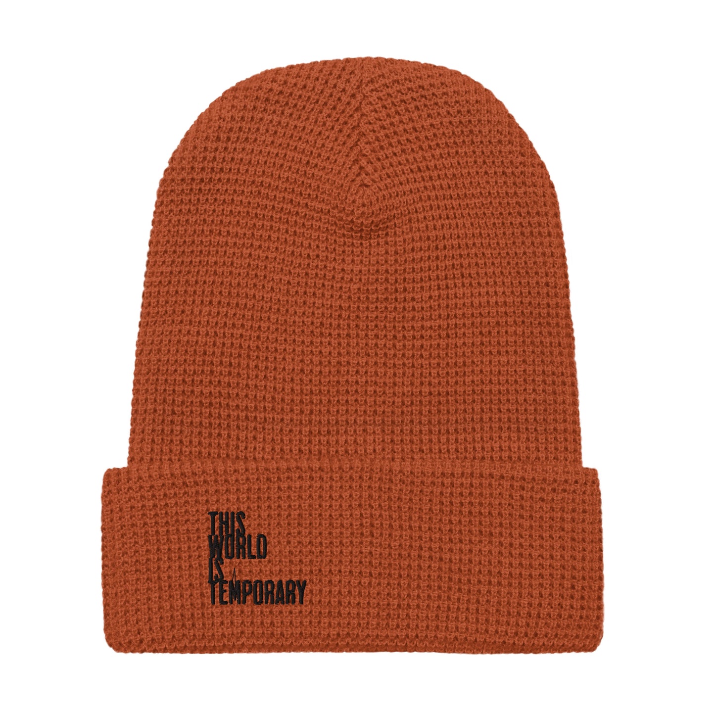This World is Temporary Waffle Beanie